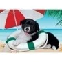 Пазл Clementoni Sunny Beach 104 элемента (8005125257416): Производитель Clementoni
