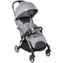 Коляска Chicco Goody Plus Stroller (79877.72)