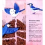 Енджі Тріус, Марк Доран: Лікарі у світі тварин: ISBN 978-617-7329-07-6