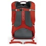 Рюкзак Osprey Comet 28 Real Red: Объем 28 л