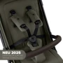 Прогулочная коляска ABC Design Ping 3 Travel Pine (12004972302): Пол ребенка Унисекс, Для мальчиков, Для девочек