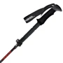 Треккинговая палка Gabel FR-3 EF (7008391920000): Цвет черный