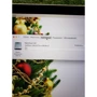 Apple MacBook Pro 13'' (2020) MWP72 Approved Вітринний зразок фото 10