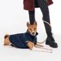 Жилет для тварин Pet Fashion Lucky L Синій (4823082428793): Розмір тваринного Большие