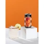 Напиток газированный Artisan Fiery Ginger Beer Can, ж/б, 0.2л (9353606010258): Вид Тоник