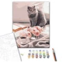 Картина по номерам Brushme Любимый британец 40x50 см (BS51927): Производитель Brushme