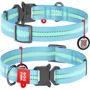 Ошейник WAUDOG Nylon с QR-паспортом, светящийся, металлическая пряжка-фастекс 15 мм 23-35 см голубой (52122)