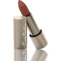 Pierre Cardin Magnetic Dream Lipstick № 266 Средний коричневый Помада для губ 4 g: Класс косметики Элитная