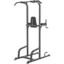 Многоцелевая станция для подтягиваний inSPORTline Power Tower PT300 (20615)
