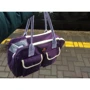 Сумка-переноска Do Do Pet Mira Violet L 45х18х30 см сиреневая (6931233200013): Цвет фиолетовый