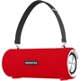 Акустика Hopestar H39 Red: Тип портативна