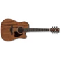 Електроакустична гітара Ibanez AW54CE OPN: Тип Электро-акустическая гитара
