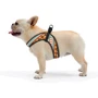Шлея HiDog Comfort Southwest 33-39 см XS разноцветная (136\1007) фото 5