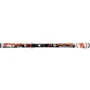 Лыжи Rossignol Radical 8GS CASCADE TPX + AXIUM 120S TPI2 (2012/2013)