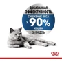 Влажный корм для котов Royal Canin Light Weight Care в желе 85 г (4152001): Основные ингредиенты Мясо