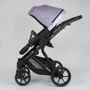 Коляска дитяча 2 в 1 Expander DEXO D-21044 (1) Pink: Кількість блоків 2