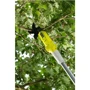 Сучкоріз-висотаріз Ryobi ONE+ RY18PLA-0 без АКБ та ЗУ (5133004575): Вага, кг 3.5