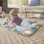 Коврик-игровой центр Fisher-Price Панда (HKD65) фото 4