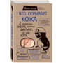 Что скрывает кожа. 2 квадратных метра, которые диктуют, как нам жить