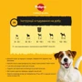 Сухой корм Pedigree с говядиной и овощами для взрослых собак малых пород 12 кг (5998749120910): Тип Сухой корм
