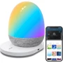 Настольный светильник умный Govee H6057 Night Light RGBIC белый (H6057301): Назначение В детскую