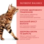 Вологий корм Optimeal Adult Cats Turkey in Pumpkin sauсe для дорослих кішок з індичкою в гарбузовому соусі 12х85 г (4820215365857): Порода Все породы