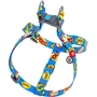 Шлея WAUDOG Nylon с QR-паспортом, рисунок "ВАУ" 15 мм 40-55 см разноцветный (5006): Производитель WAUDOG