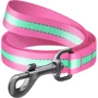 Поводок WAUDOG Nylon, светящийся 25 мм 122 см розовый (45757)