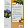 Rainbow Bridge 1: Class Book and Workbook: Производитель Oxford University Press (OUP)