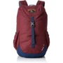 Рюкзак Рюкзак Deuter Walker 16 колір 5323 maron-midnight (3810517 5323): Виробник Deuter
