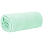 Плед Springos Extra Soft 200x220 см мятный (HA7157): Размер, см 200х220
