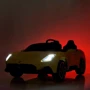 Детский электромобиль Bambi Racer Maserati синий (M 4993EBLR-4) фото 8
