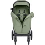 Коляска прогулочная Carrello Bravo SL CRL-5520 Fruit Green 2024 (CRL-5520 Fruit Green 2024): Пол ребенка Унисекс