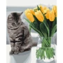 Картина по номерам Brushme Котик с тюльпанами 40х50 см (BS52638)