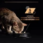 Влажный корм Pro Plan Sterilised для кастрированных котов с тунцом и лососем 85г (7613033568558): Тип Влажный корм