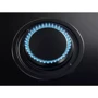 Варочная поверхность AEG HDB95623NB: Количество конфорок 4
