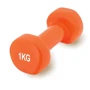 Гантель PowerPlay 4125 Achilles 1 кг Оранжевая (PP_4125_1kg)