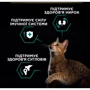 Сухой корм Purina Pro Plan Adult 1+ Renal Plus для кошек с курицей 14 кг (7613287887733): Класс Супер премиум
