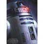 Пазл EDUCA "Звездные войны - Р2-Д2 (англ R2-D2)" 100 элементов (EDU-16282)
