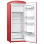 Холодильник Gorenje ORB153RD: Тип холодильник двухкамерный