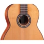 Гитара классическая CORDOBA C9 CD W/C: Форма корпуса Дредноут
