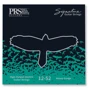 Струна для гітар Комплект струн PRS Signature Heavy Guitar Strings 12-52