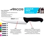 Кухонный нож Arcos Сolour-prof для мяса 150 мм (242100): Длина лезвия, см 15
