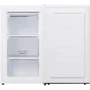 Морозильная камера Gorenje F39EPW4: Количество дверей 1
