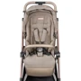 Коляска Peg-Perego Vivace Mon Amour Розовое золото (28000000BA36PI29): Количество блоков 1