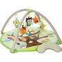 Розвиваючий килимок з дугами Skip Hop Жителі казкового лісу зелений (307500)