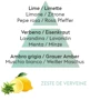 Дифузор Maison Berger Paris ICE CUBE з ароматом ZEST OF VERBENA 125 мл (6001) фото 2