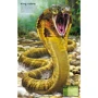 Build Your Own Deadly Animals / книга с наклейками Создайте своих смертоносных животных: Производитель Usborne