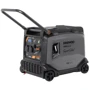 Бензиновый генератор DAEWOO GDA 4500 SEI: Тип двигателя 4-х тактный (одноцилиндровый)