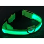 Ошейник с подсветкой UFT PET LED 2 Green для собак с аккумулятором S (UFTPL2Sgreen): Тип Обычные